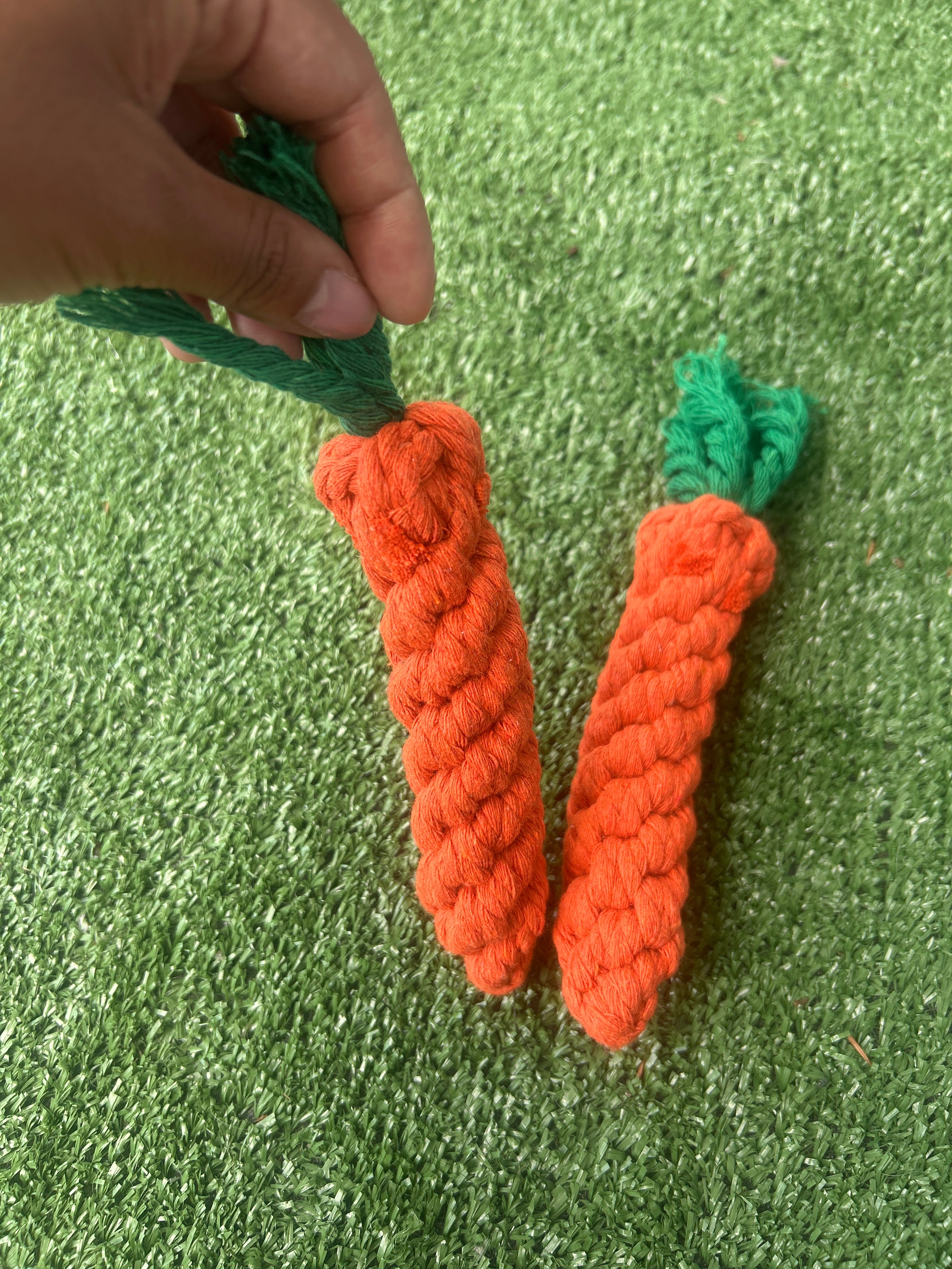 Carrot Rope Toy