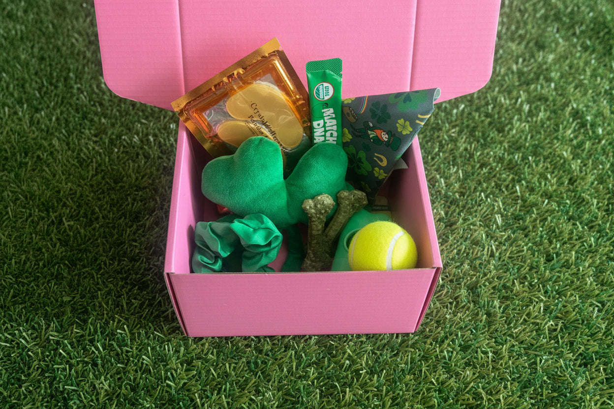 St. Pawtrick’s Box