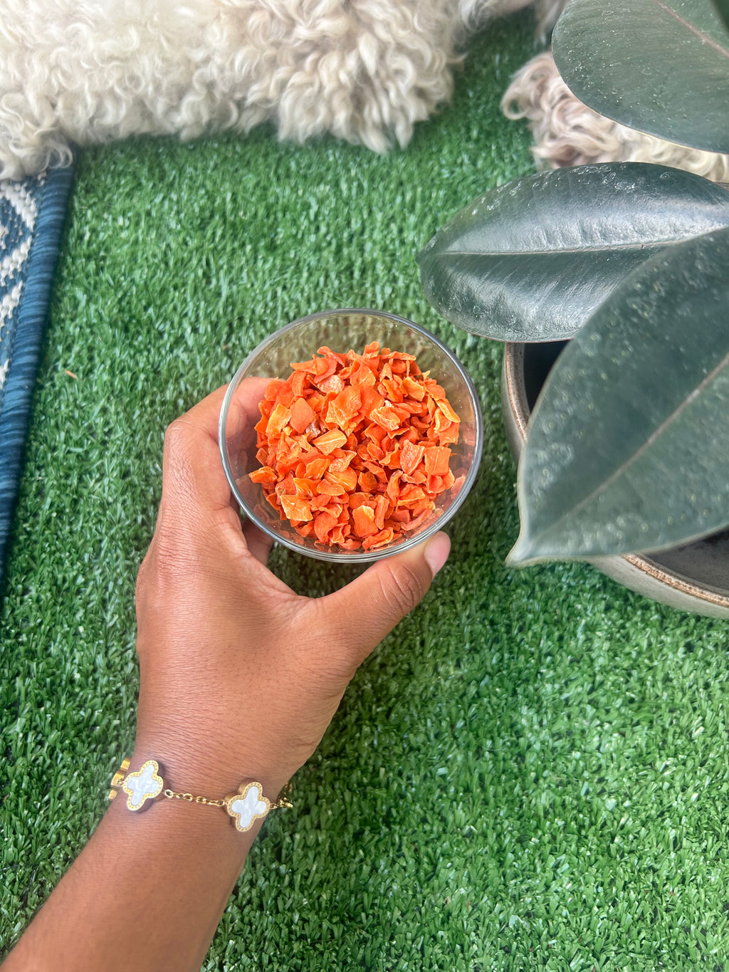Dehydrated Carrot Treats