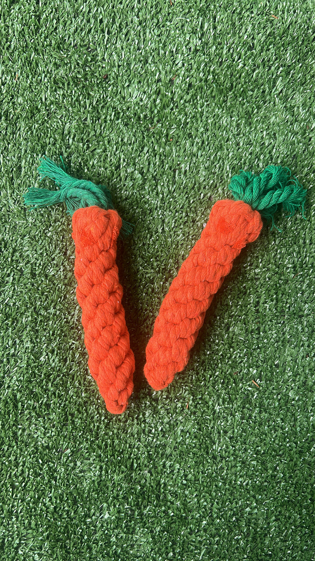 Carrot Rope Toy