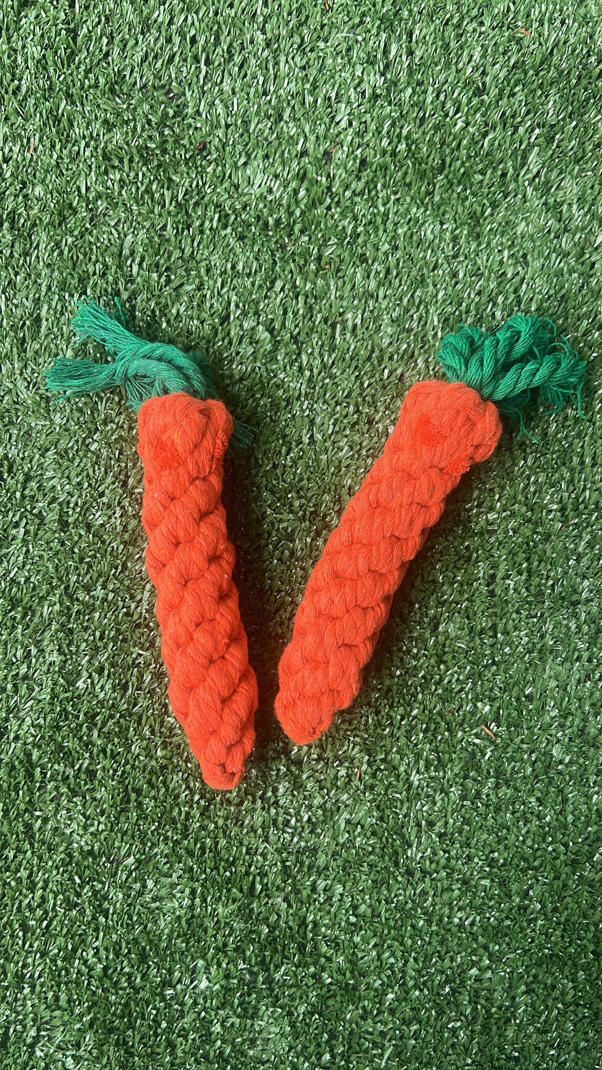 Carrot Rope Toy