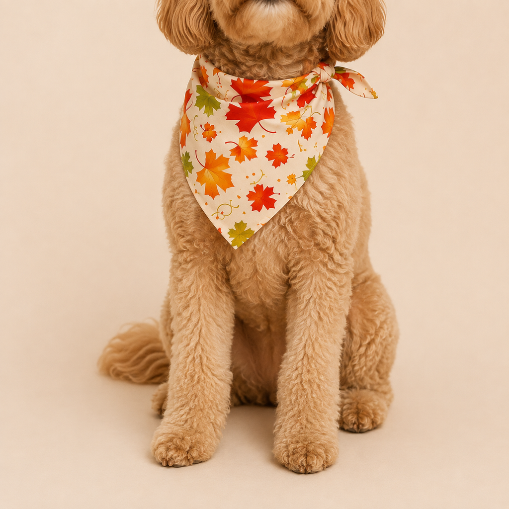 Fallin for Fetch Bandana