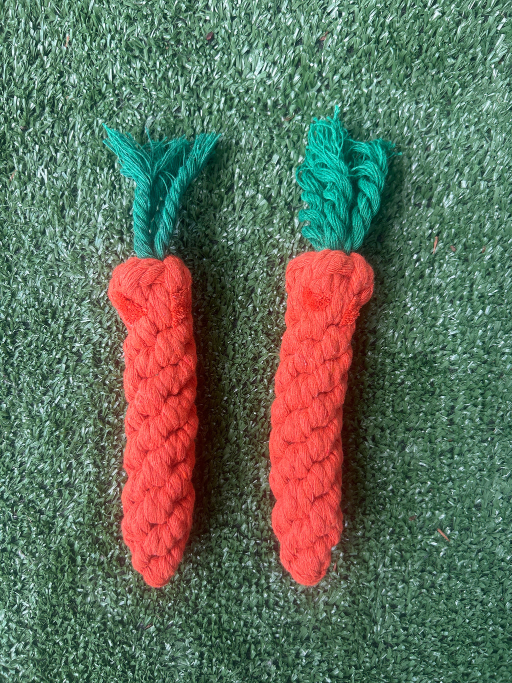 Carrot Rope Toy