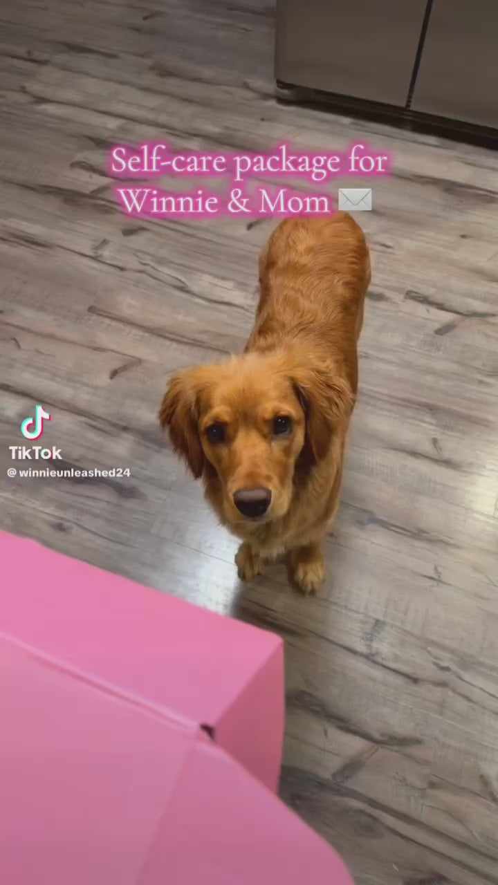 Pawliday Box